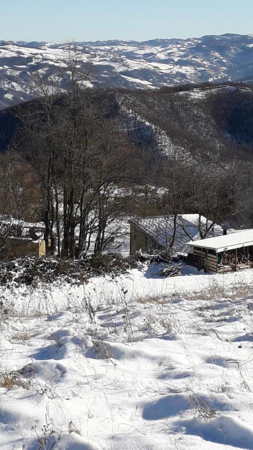 Neviano degli Arduini La Tana Del Picchio 빌라 외부 사진