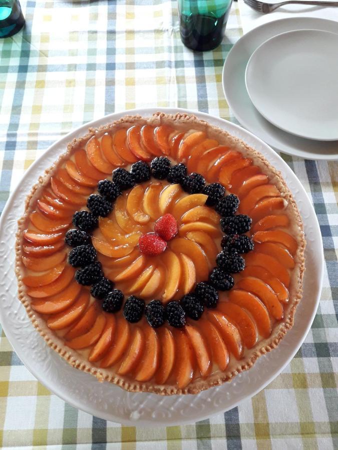 Neviano degli Arduini La Tana Del Picchio 빌라 외부 사진