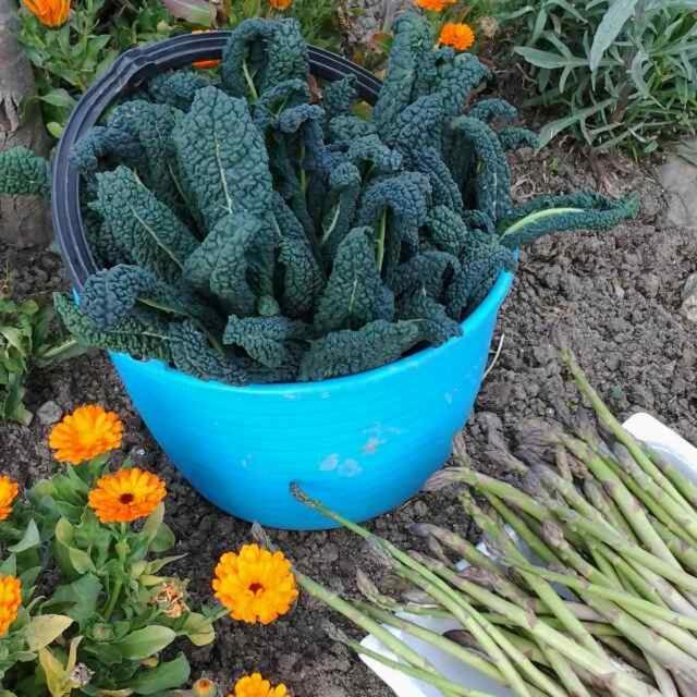 Neviano degli Arduini La Tana Del Picchio 빌라 외부 사진